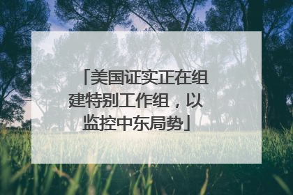 美国证实正在组建特别工作组，以监控中东局势